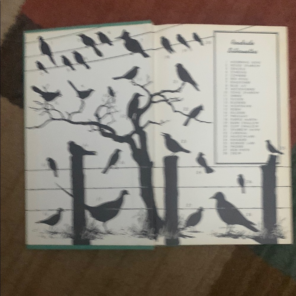 Bird Guide - Teal Edition - Picture 3 of 4